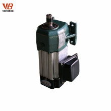 China Marke Elektromotor 220V 500W in AC-Motor